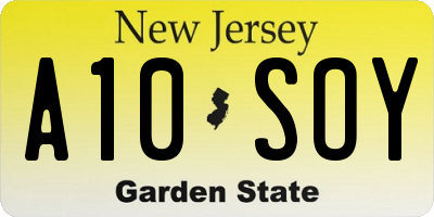 NJ license plate A10SOY