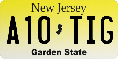 NJ license plate A10TIG