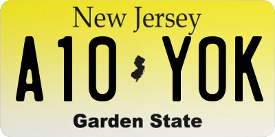 NJ license plate A10YOK