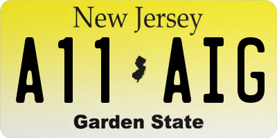 NJ license plate A11AIG