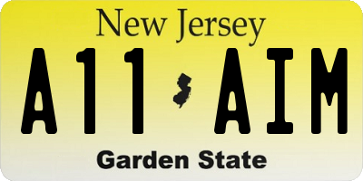 NJ license plate A11AIM