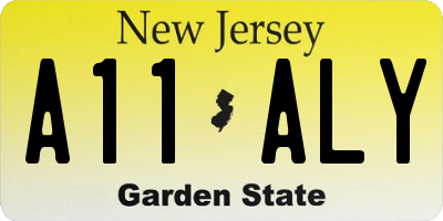 NJ license plate A11ALY