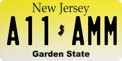 NJ license plate A11AMM