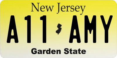 NJ license plate A11AMY
