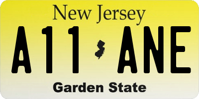 NJ license plate A11ANE