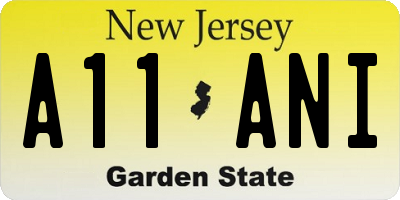 NJ license plate A11ANI