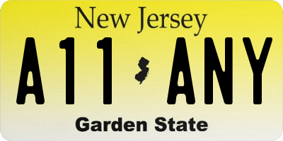 NJ license plate A11ANY
