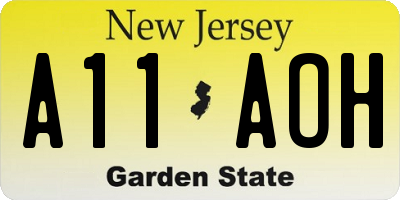 NJ license plate A11AOH