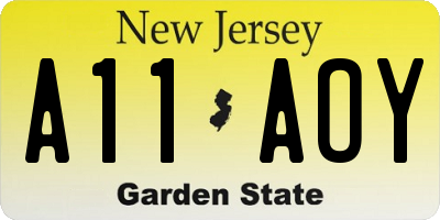 NJ license plate A11AOY