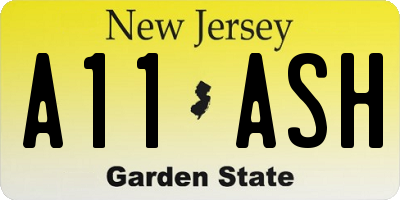 NJ license plate A11ASH