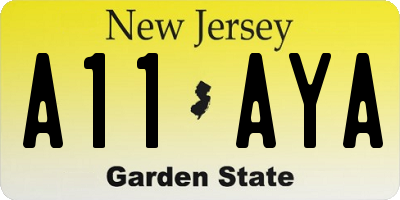 NJ license plate A11AYA