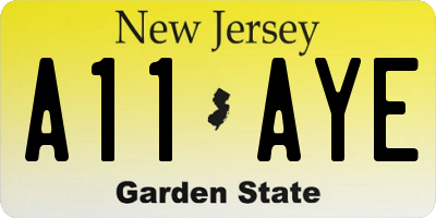 NJ license plate A11AYE