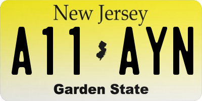 NJ license plate A11AYN