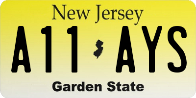 NJ license plate A11AYS