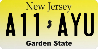 NJ license plate A11AYU