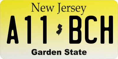 NJ license plate A11BCH