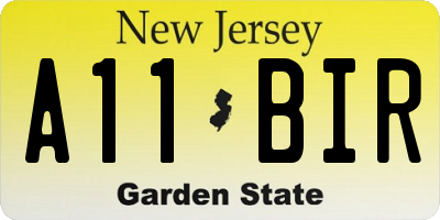 NJ license plate A11BIR