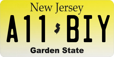 NJ license plate A11BIY
