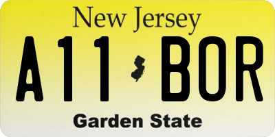 NJ license plate A11BOR