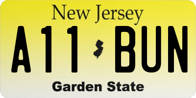 NJ license plate A11BUN