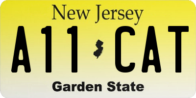 NJ license plate A11CAT
