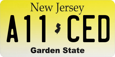 NJ license plate A11CED