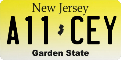 NJ license plate A11CEY