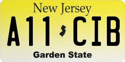 NJ license plate A11CIB