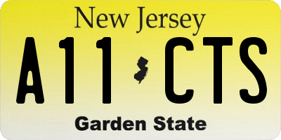 NJ license plate A11CTS