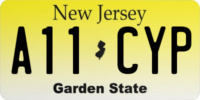 NJ license plate A11CYP