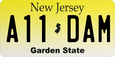 NJ license plate A11DAM