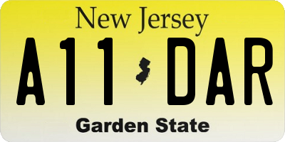 NJ license plate A11DAR