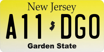 NJ license plate A11DGO