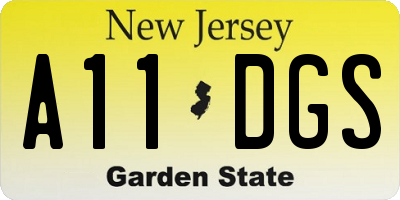 NJ license plate A11DGS