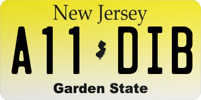 NJ license plate A11DIB