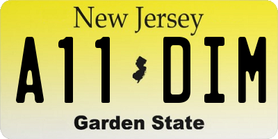 NJ license plate A11DIM