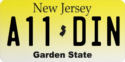 NJ license plate A11DIN