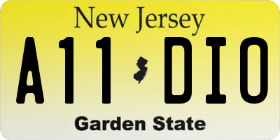 NJ license plate A11DIO
