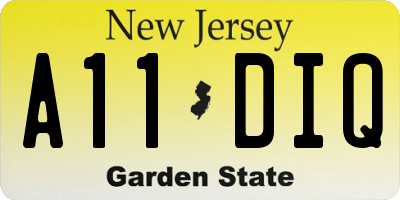 NJ license plate A11DIQ