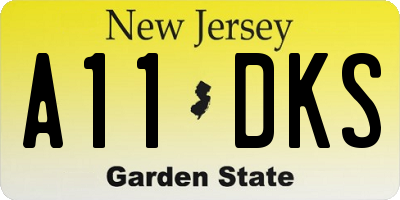 NJ license plate A11DKS