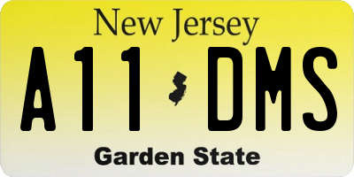 NJ license plate A11DMS