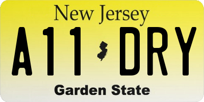 NJ license plate A11DRY