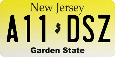 NJ license plate A11DSZ