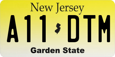 NJ license plate A11DTM