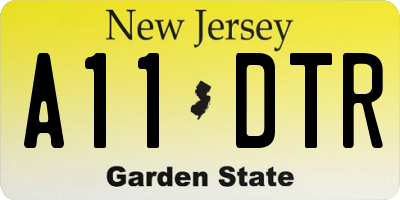 NJ license plate A11DTR