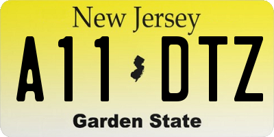 NJ license plate A11DTZ