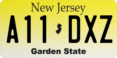 NJ license plate A11DXZ