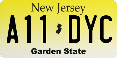 NJ license plate A11DYC