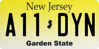 NJ license plate A11DYN