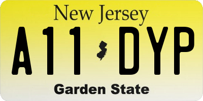 NJ license plate A11DYP